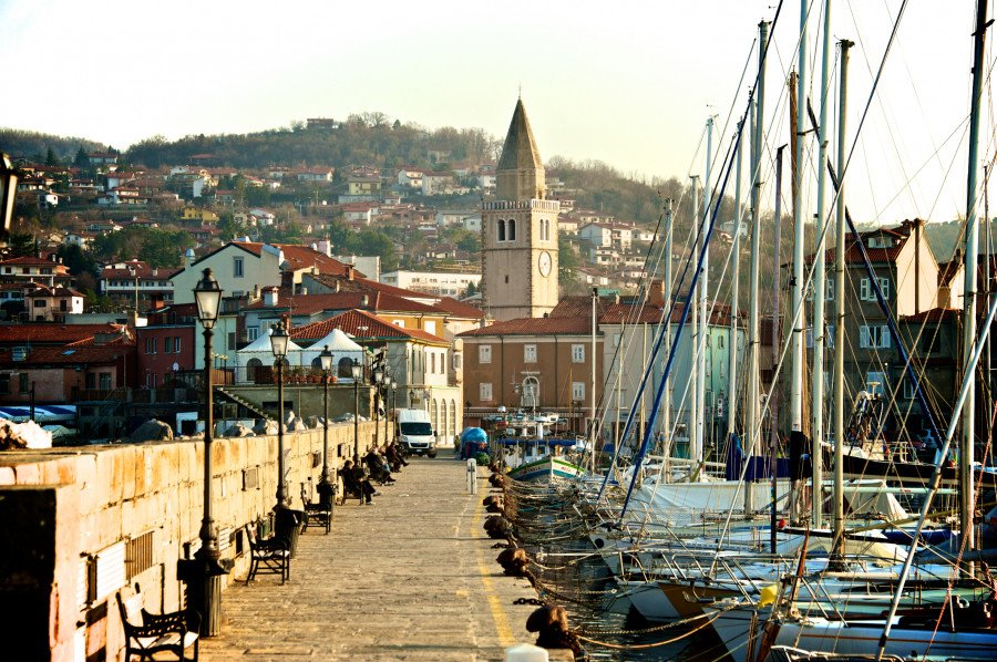 Muggia